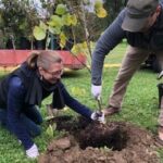 Tara Zrinski Planting a Tree